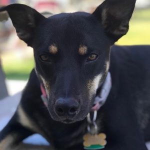 Meet your Posher, Marylou